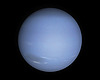 Les-4-neptunus